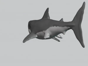 great white shark 3D Print Model