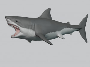 great white shark 3D Принт Модель