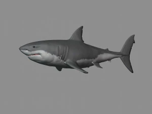 2合1大白鲨 3D 打印模型