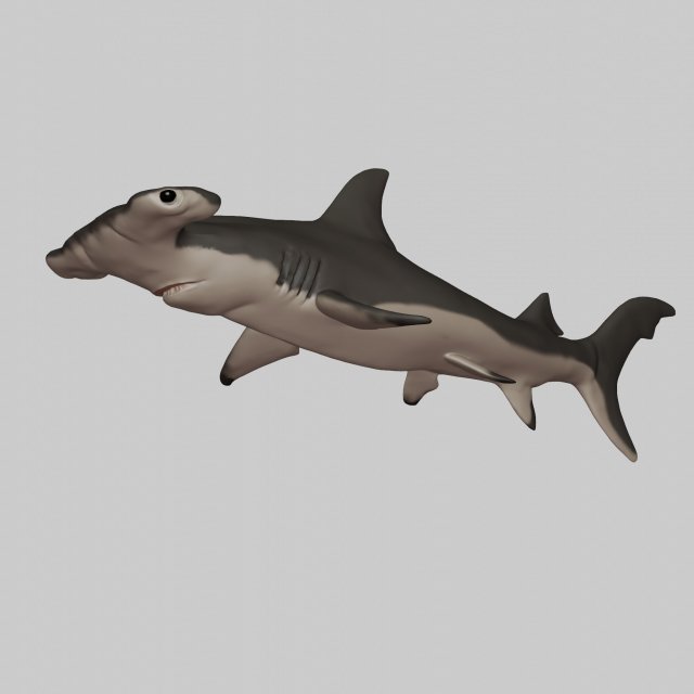 hammerhead shark 3d print Model Cetak 3D .c4d .max .obj .3ds .fbx .stl .blend 