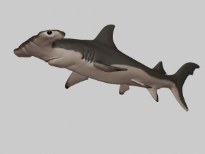 hammerhead shark 3d print 3D Print Model