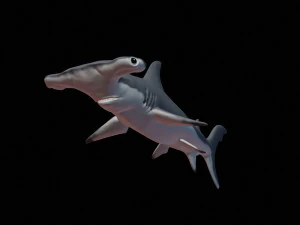 hammerhead shark 3d print 3D Print Model
