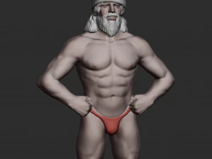 Bad Santa 3D Print 3D Print Model