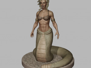 Medusa 3D Print 3D मॉडल