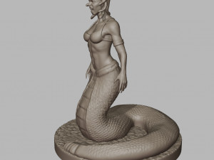 Medusa 3D Print 3D मॉडल