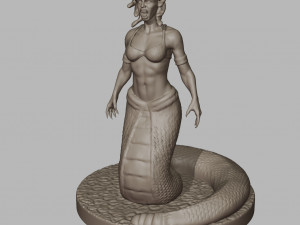 Medusa 3D Print 3D मॉडल