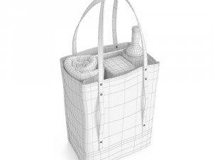 picnic bag 3D Model