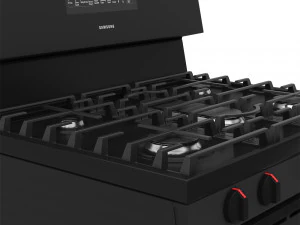 forno a gas da installazione indipendente Modello 3D