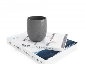 2xbooks and cup 3D 모델