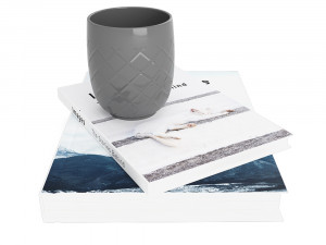 2xbooks and cup Modello 3D