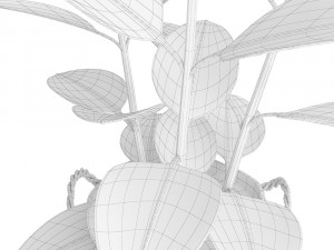 rubber plant in eiseyen basket 3D मॉडल