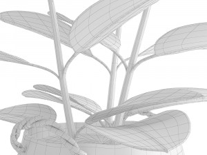 rubber plant in eiseyen basket 3D मॉडल