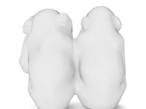two wise monkeys 3D Model