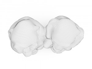 two wise monkeys 3D Model