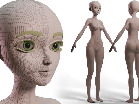 Stylized Girl Basemesh Model 3D