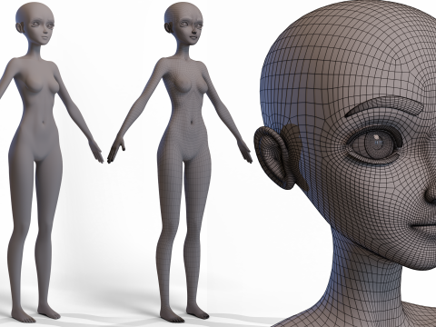Stylized Girl Basemesh Model 3D