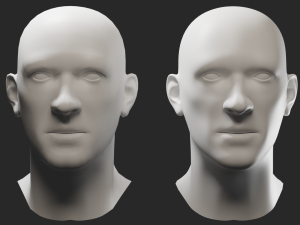 Head Male 3D Model