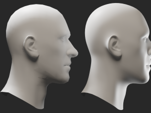 Head Male 3Dモデル