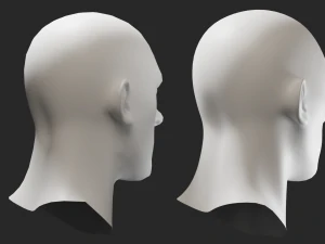 Head Male 3D Model