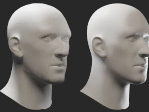Head Male 3D Model