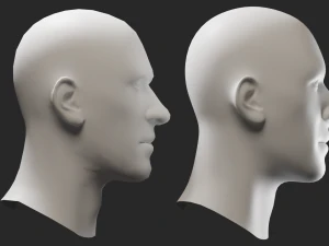 Head Male 3D Model