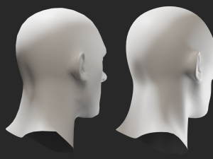 Head Male 3Dモデル