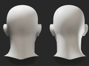 Head Male 3D Model
