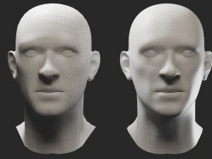 Head Male 3D Model
