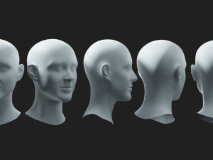 Head Female Basemesh Modelo 3D