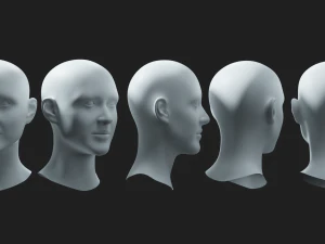 Głowa żeńska Basemesh Model 3D