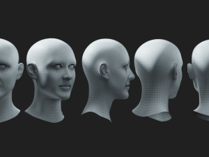 Head Female Basemesh 3D 模型