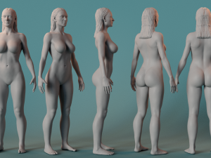 Female Basemesh 3D मॉडल