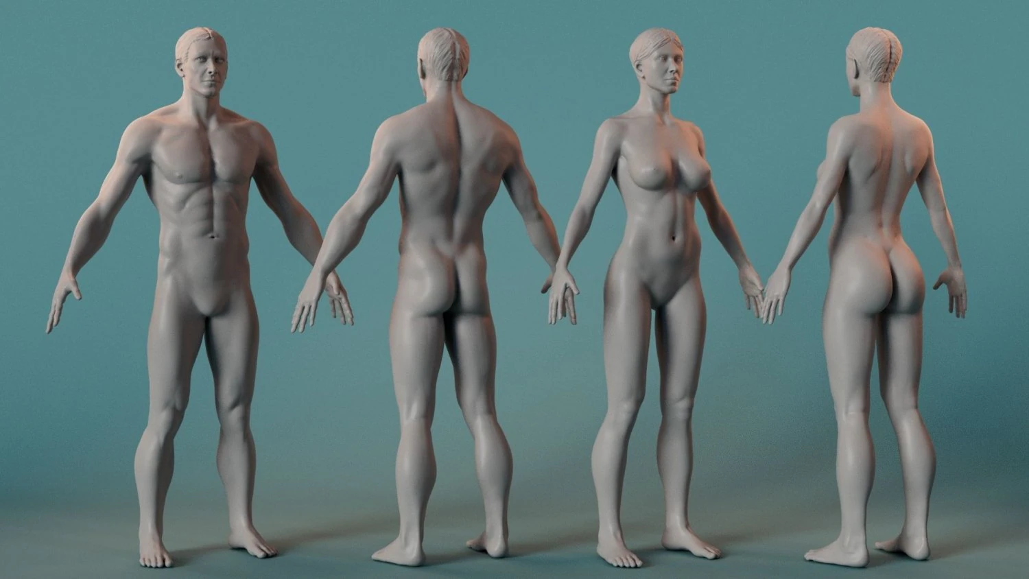Female Male Basemesh 3D Model .c4d .max .obj .3ds .fbx .stl .blend
