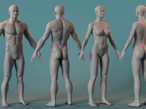 Female Male Basemesh 3D Модель