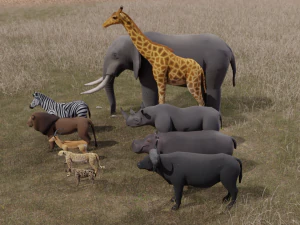 African Animals 3D Model