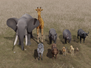 African Animals 3D 모델