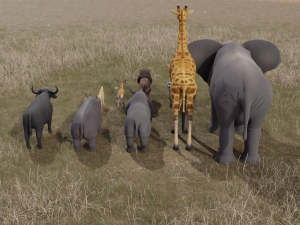 African Animals 3D 모델
