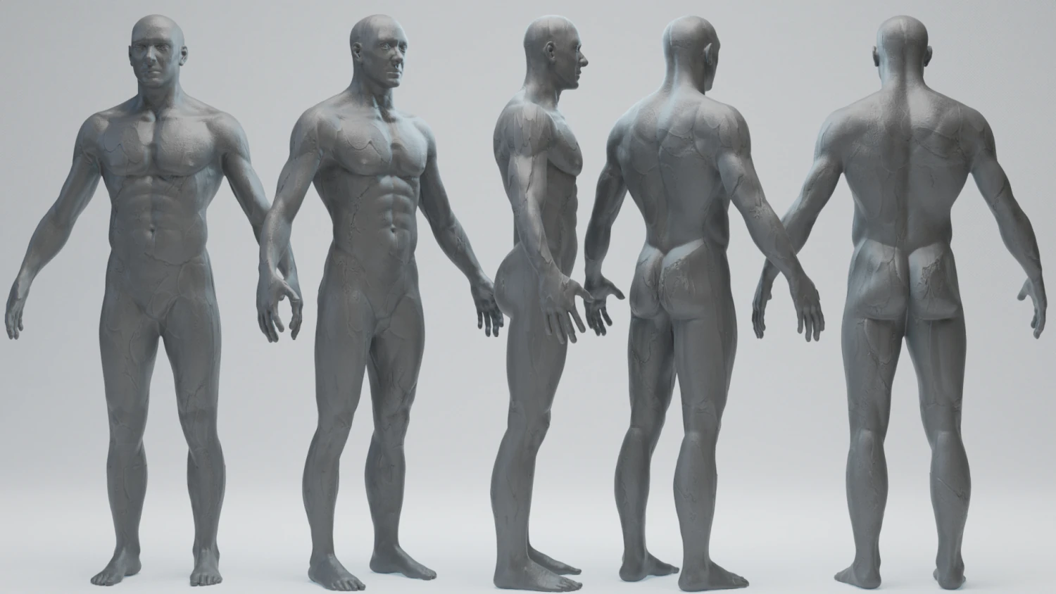 Male Basemesh 3D Model .c4d .max .obj .3ds .fbx .stl .blend