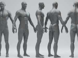 Male Basemesh 3D Модель