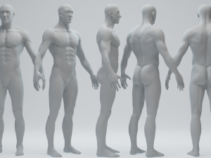 Male Basemesh 3D Model