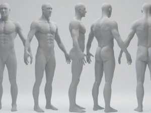 Male Basemesh 3D Model