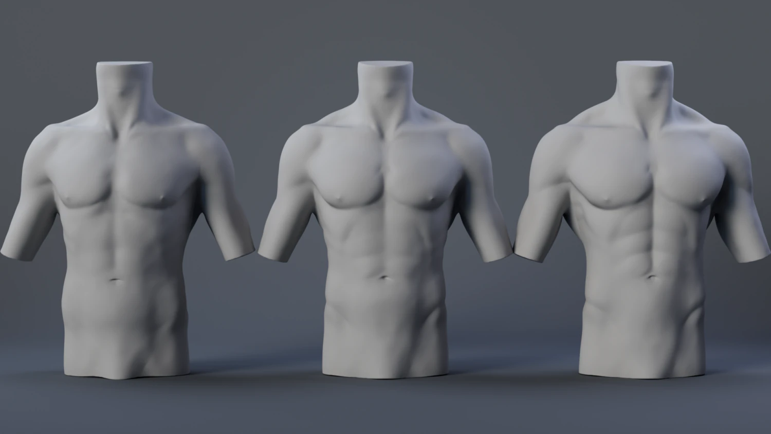Male Torso 3D Model .c4d .max .obj .3ds .fbx .stl .blend 