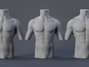 Male Torso Modèle 3D