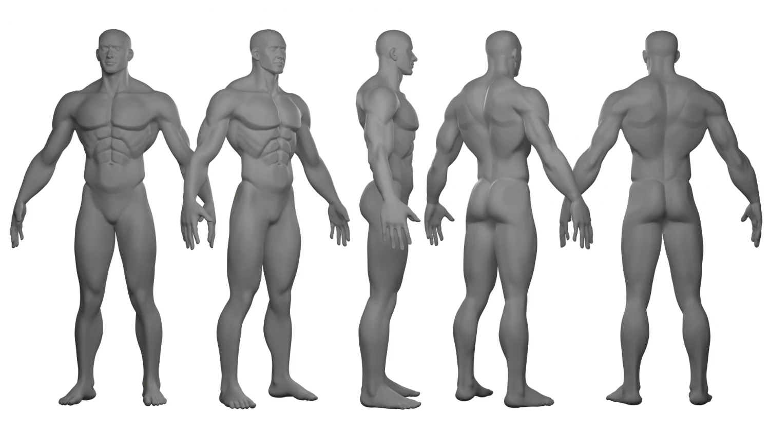 Stylized Basemesh 3D Model .c4d .max .obj .3ds .fbx .stl .blend 