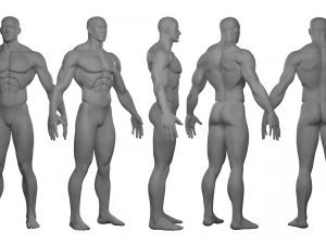 Malla base estilizada Modelo 3D