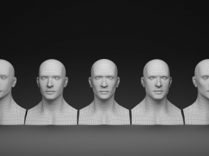 Stylized Head Basemesh Modèle 3D