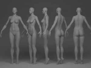 Stylized Girl Basemesh 3D Model