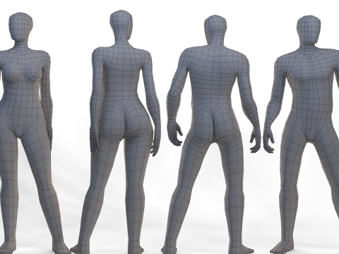 Female Male Basemesh Modelo 3D