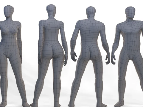 Female Male Basemesh 3D Model
