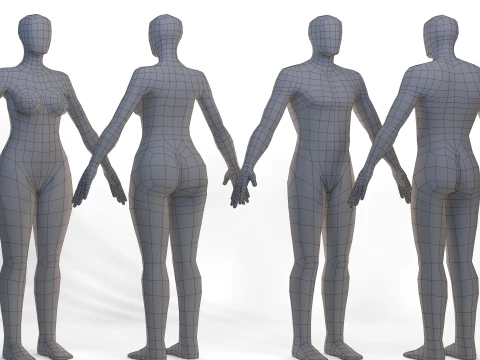 Female Male Basemesh 3D Model